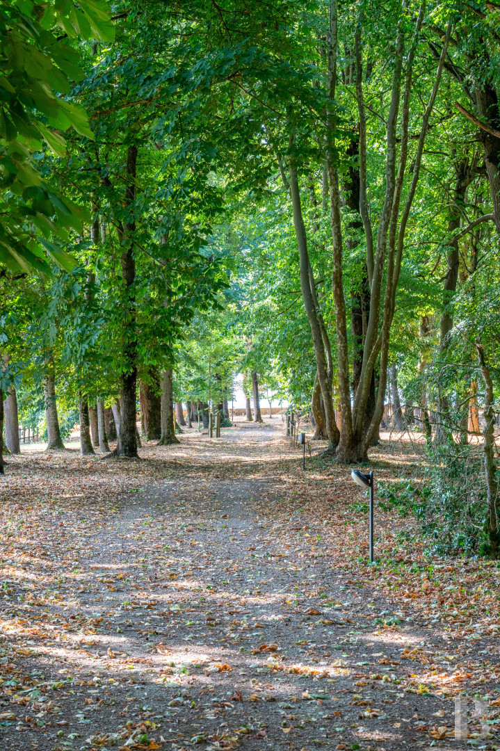 Dans l’Yonne, à équidistance de Paris, Lyon et Genève, une ancienne place forte médiévale et son parc aménagés pour accueillir calmes séjours et grands événements  - photo  n°9